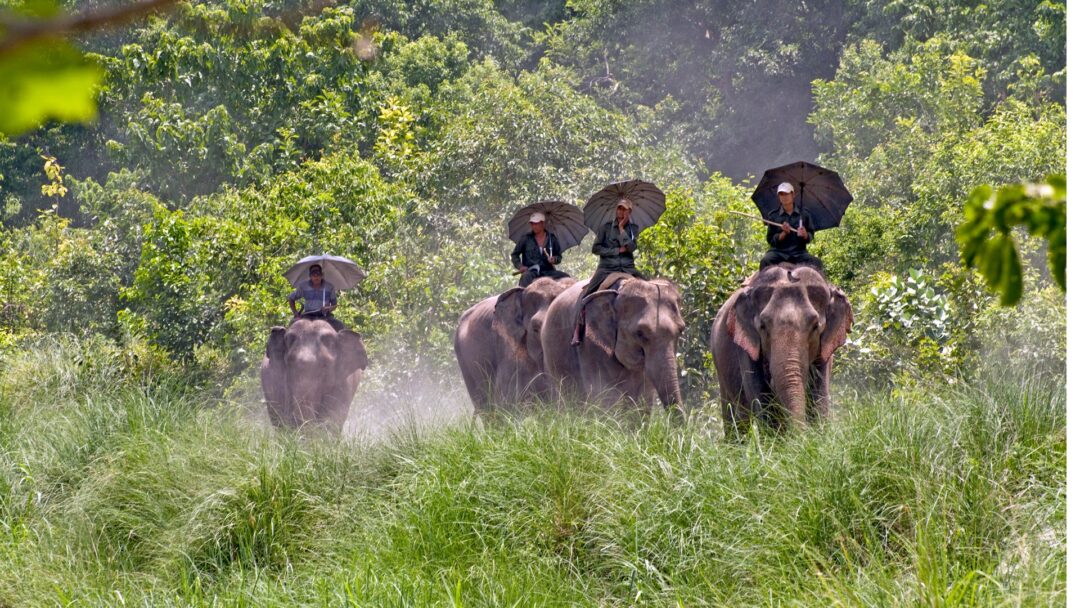 Bardia National Park