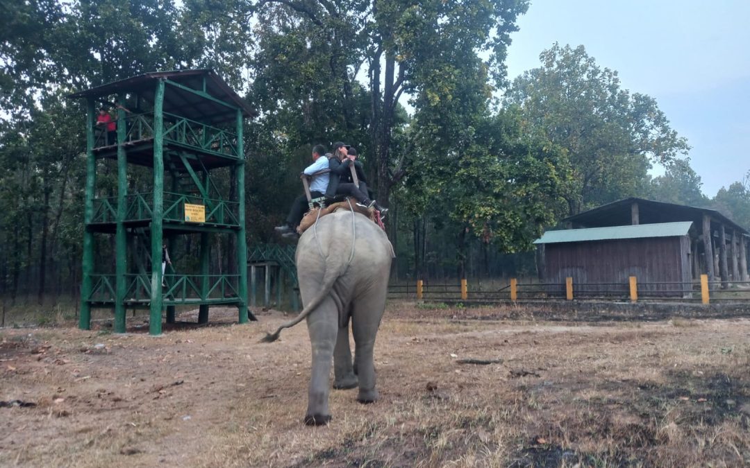 Jungle Safari & Cultural Village Tour – Parsa National Park