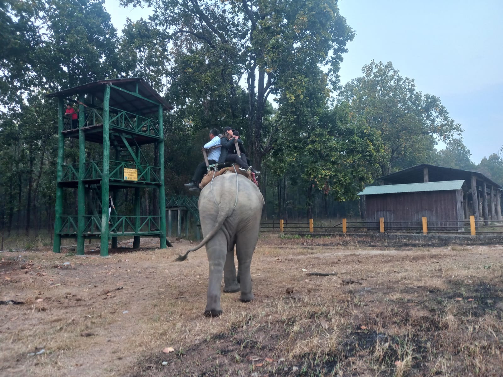 Jungle Safari & Cultural Village Tour – Parsa National Park